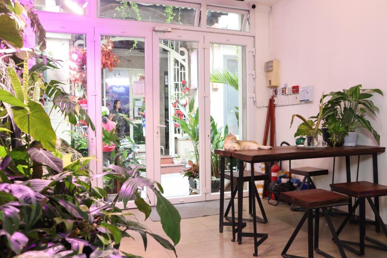 Amango Dorm Vandrarhem Ho Chi Minh-staden Exteriör bild