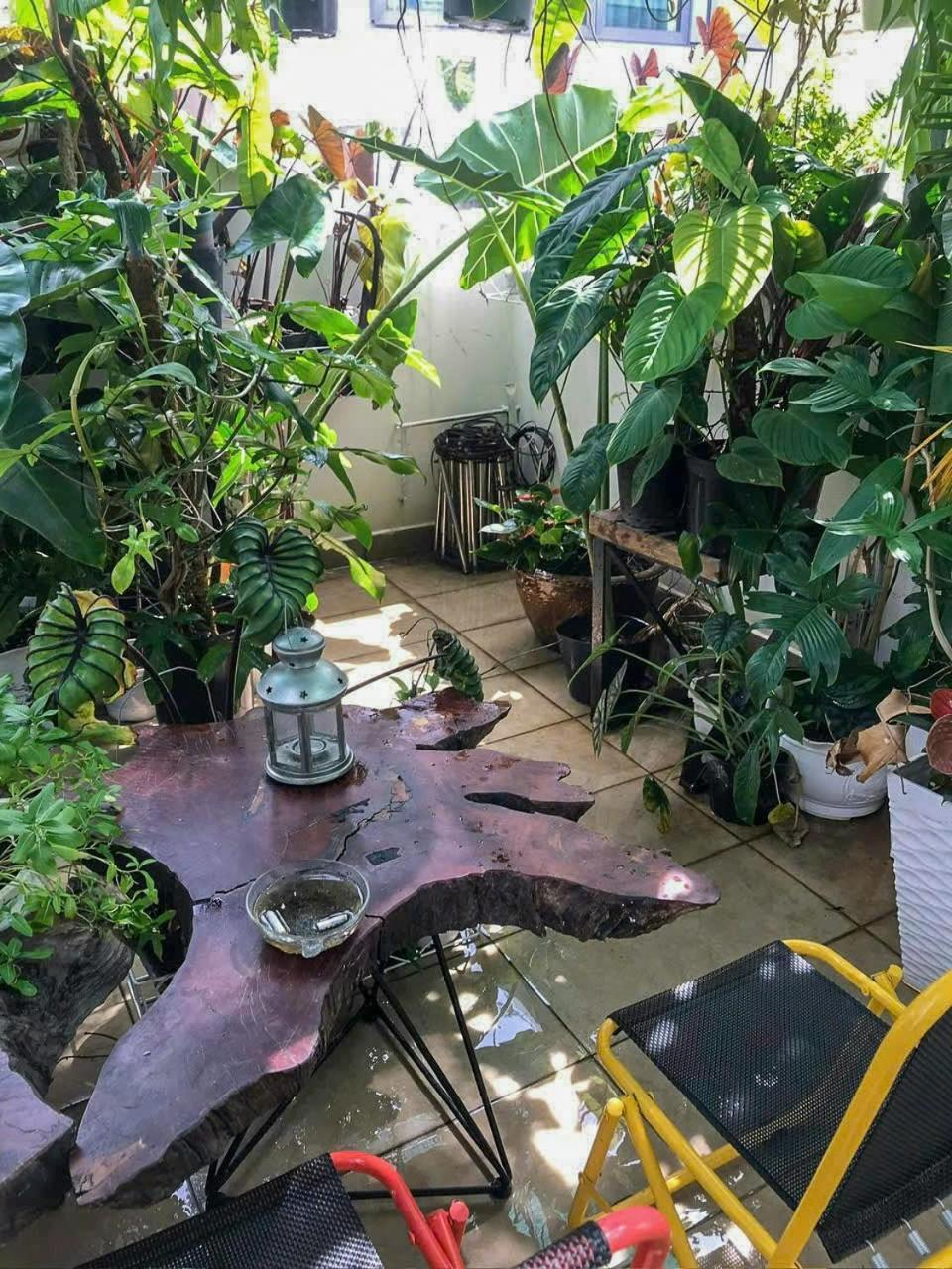Amango Dorm Vandrarhem Ho Chi Minh-staden Exteriör bild
